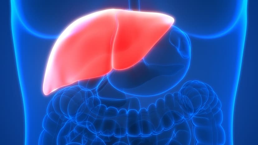 Liver Cancer Surgery in Turkey