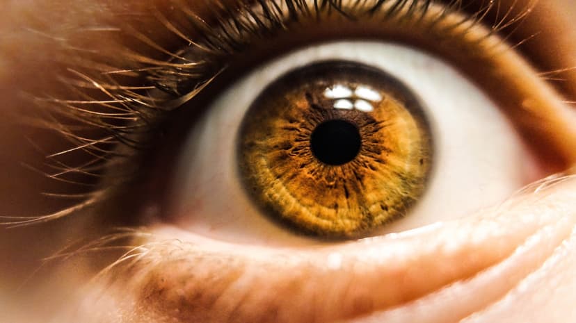 Retinal Transplant in Turkey - Best Clinics and Surgeons