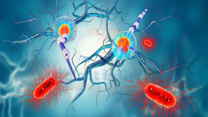 Dendritic Cell Therapy Abroad