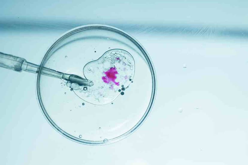 IVF in Mexico: Costs, Best Clinics & Medical Tourism