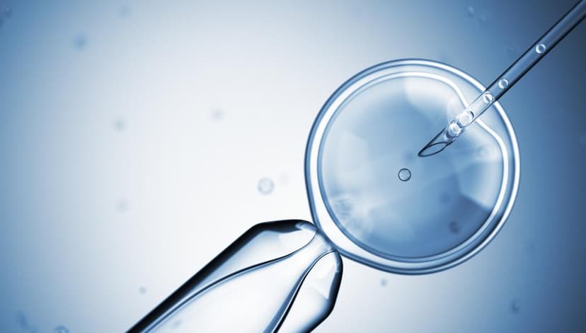Artificial Insemination in Turkey