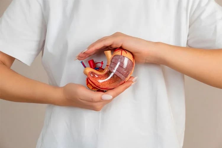 Gastric Bypass Surgery In Turkey: 2026 Prices & Packages
