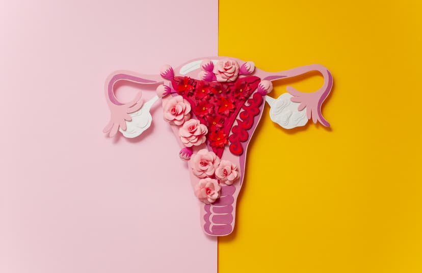 Endometriosis Treatment in Turkey