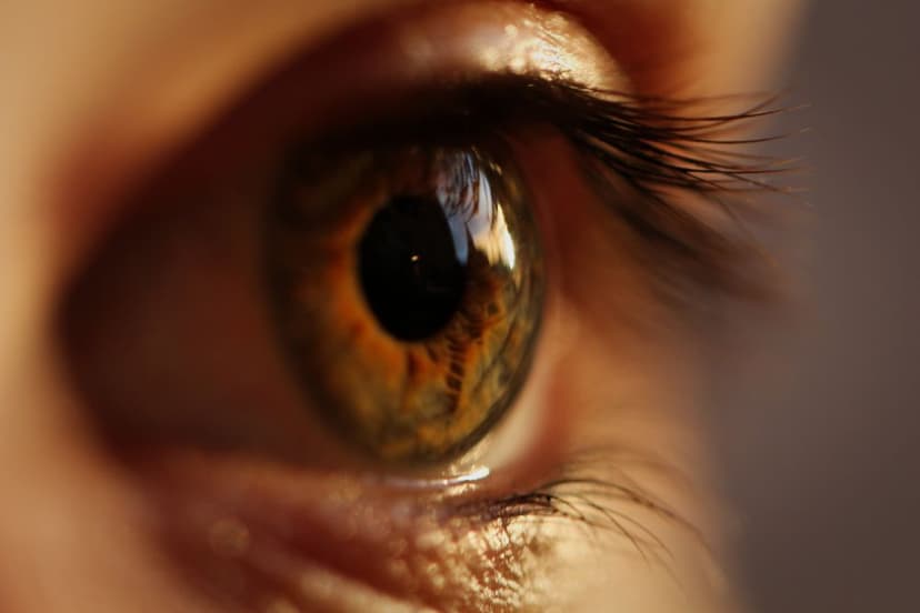 Retinal Detachment Treatment in Turkey
