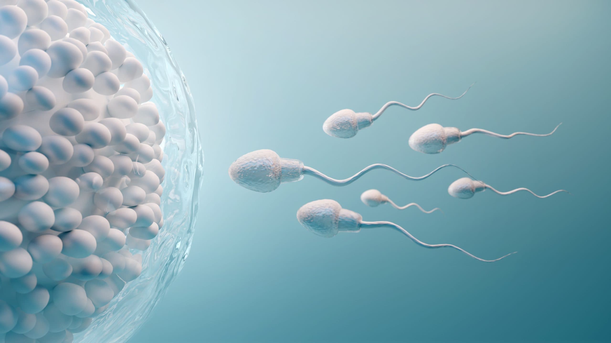 Low Sperm Count Treatment in Turkey