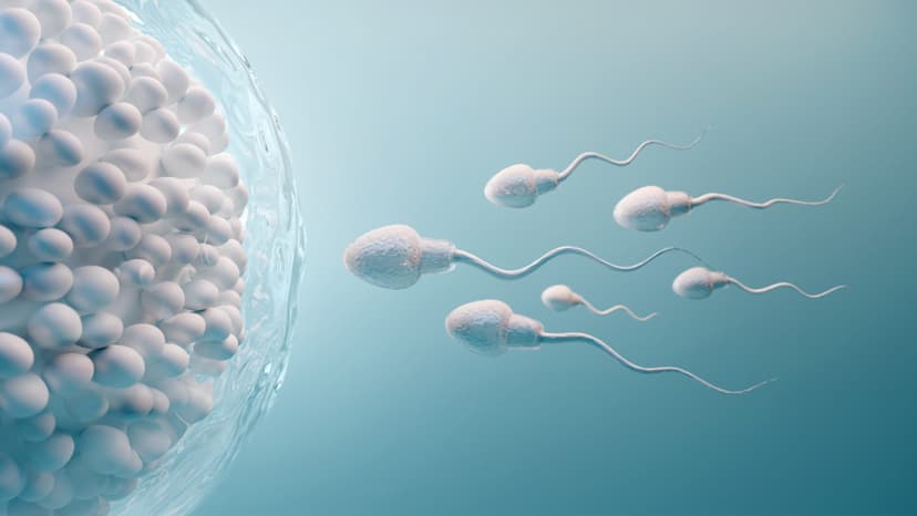 Low Sperm Count Treatment in Turkey