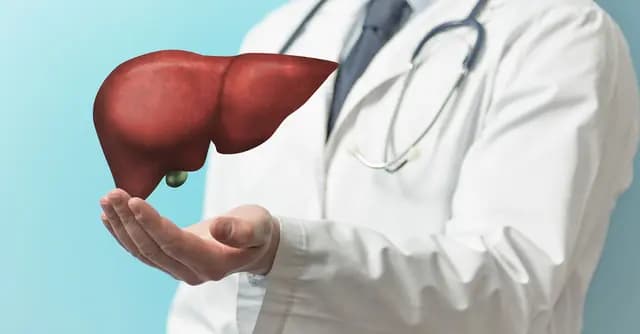 Liver Transplant in Turkey