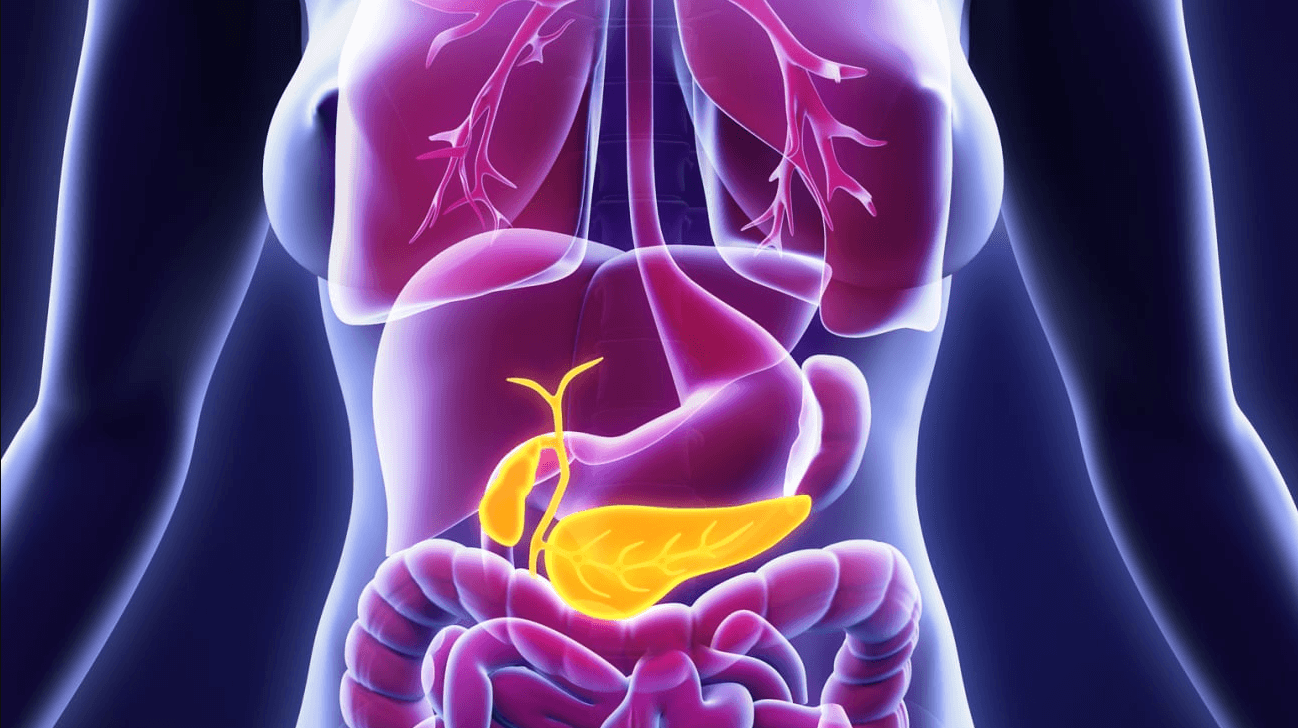 Pancreas Transplant Abroad