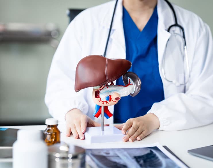 Living Donor Liver Transplant in Turkey