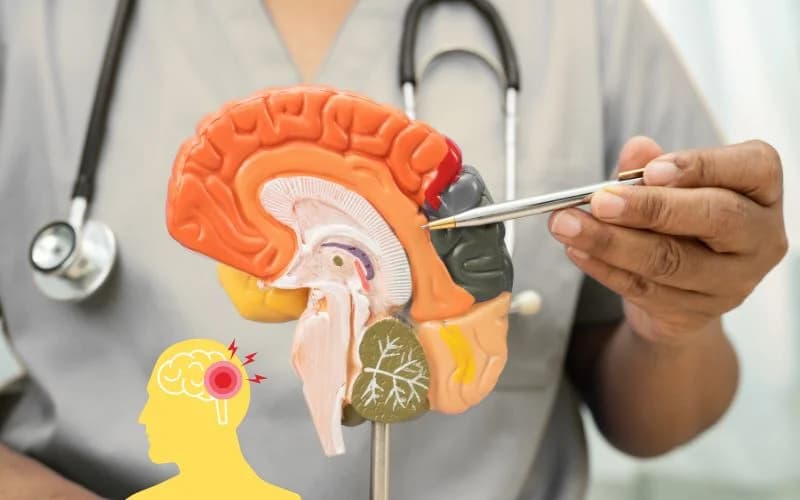 Brain Shunt Treatment Abroad