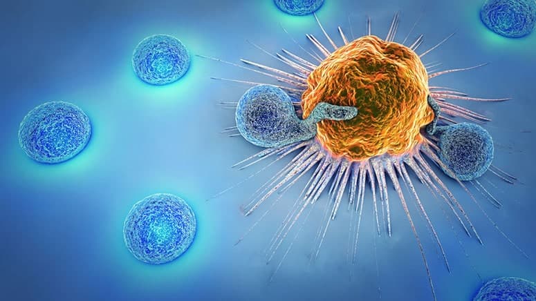 Immunotherapy in Turkey - Best Clinics & Costs
