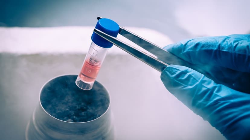Stem Cell Therapy in Turkey: Costs, Clinics and Benefits