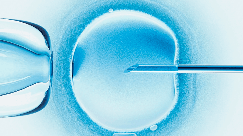 IVF in Spain | 2026 Costs & Best Clinics