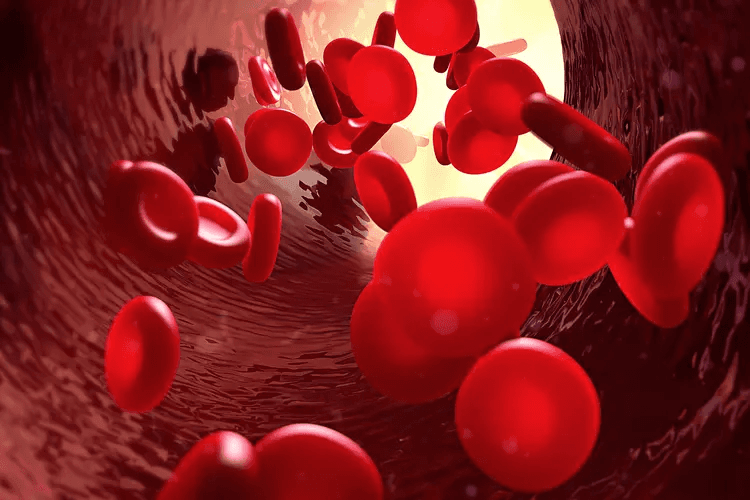 Thalassemia Treatment in Turkey (Costs, Best Doctors & Clinics)