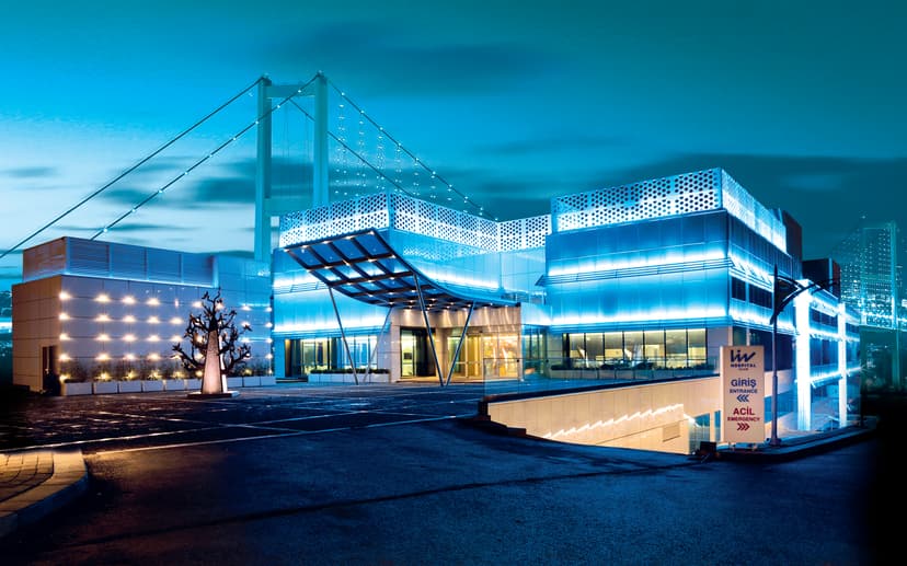 Best Countries and Centers in the World for Rehabilitation