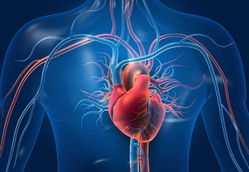 Heart Bypass Surgery in Turkey - Costs and Clinics