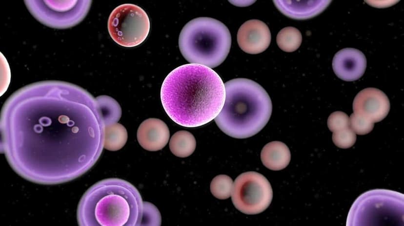 Cancer Treatment in Switzerland: Best Clinics & Procedures