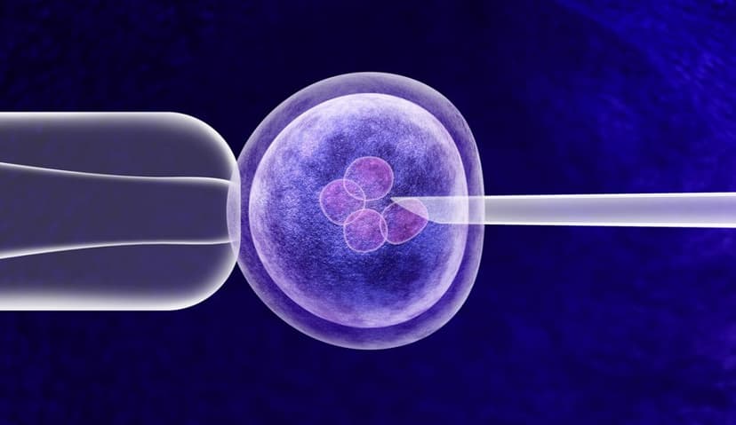 IVF in Turkey: High Success, Low Cost, No Waiting