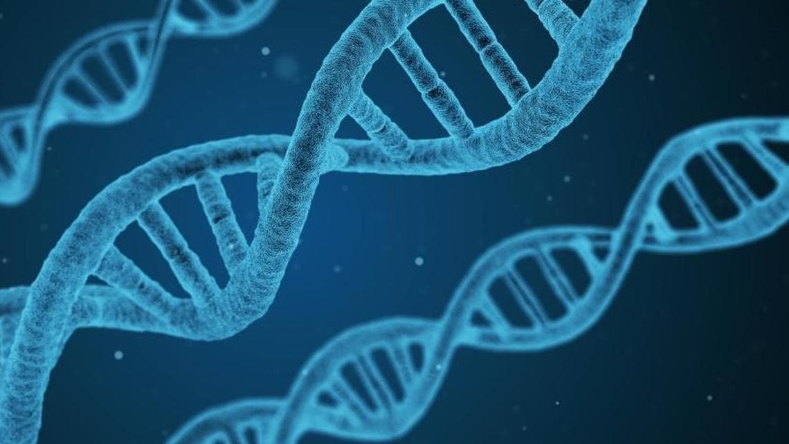 Best Countries and Clinics for Bone Marrow Transplant