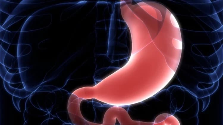 Best Hospitals for Gastric Ulcer Treatment in the World