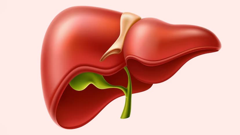 Top Reasons Why Turkey Is a Preferred Destination for Liver Transplants