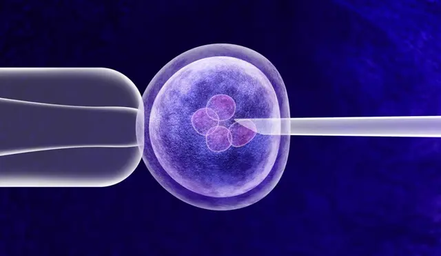 IVF in Turkey: What to Know Before You Start Your Treatment