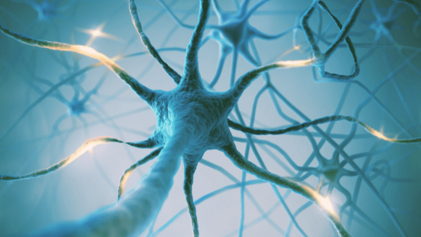 Stem Cell Therapy for Multiple Sclerosis Abroad