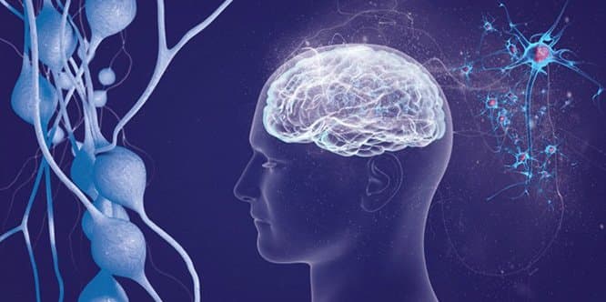 Multiple Sclerosis (MS) Treatment in Turkey