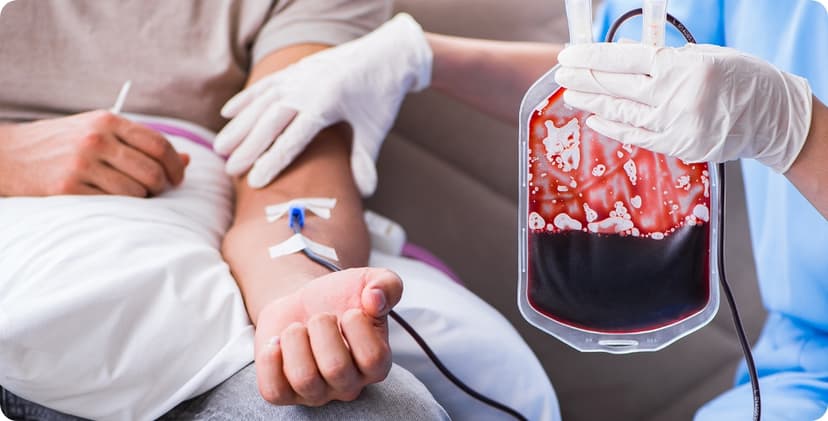 Bone Marrow Transplant in Turkey - Clinics, Costs, Doctors - Updated List 2026