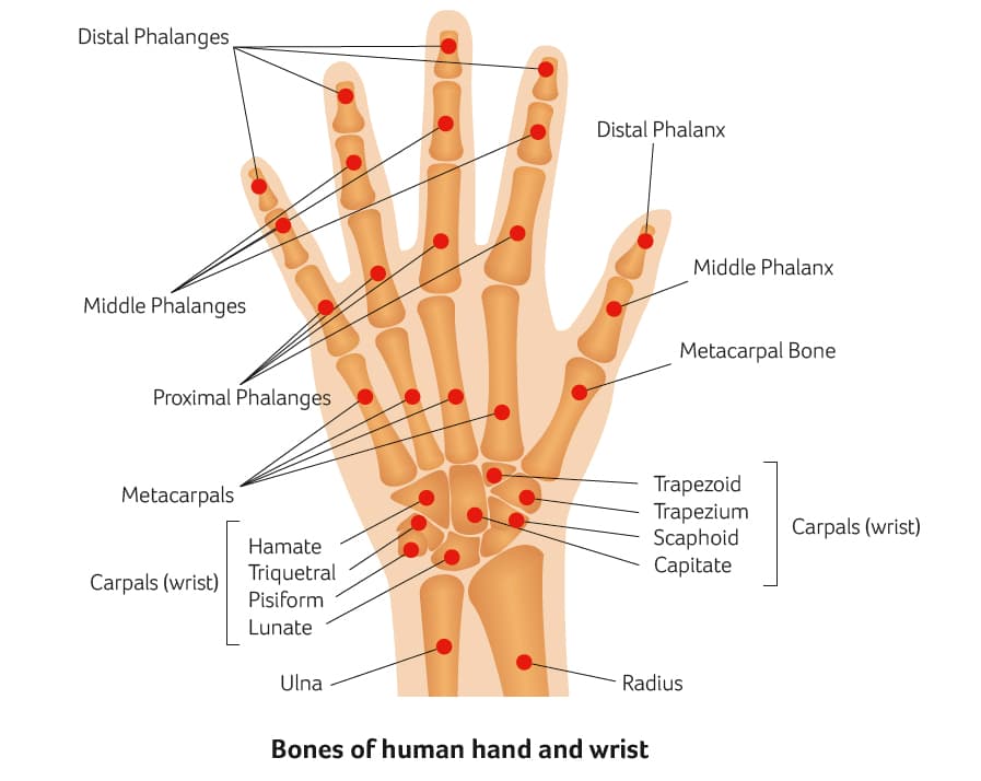 Hand Surgery medical condition