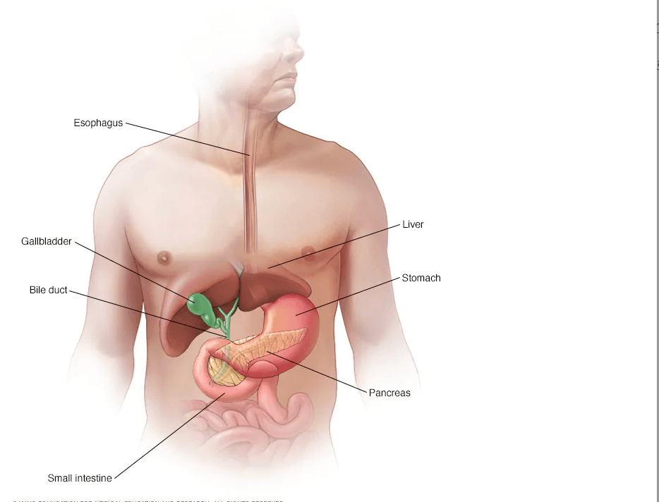 Pancreatic Cancer medical condition