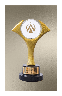 Recognized Excellence