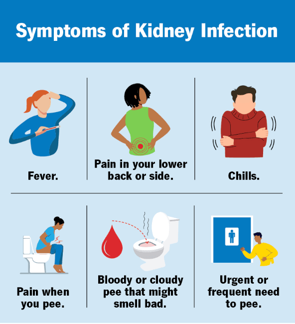 Kidney Inflammation (Pyelonephritis) medical condition