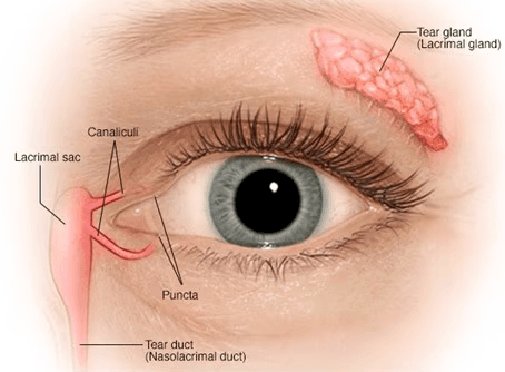 Tear Ducts medical condition
