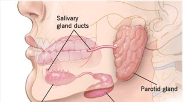 Salivary Gland Cancer medical condition