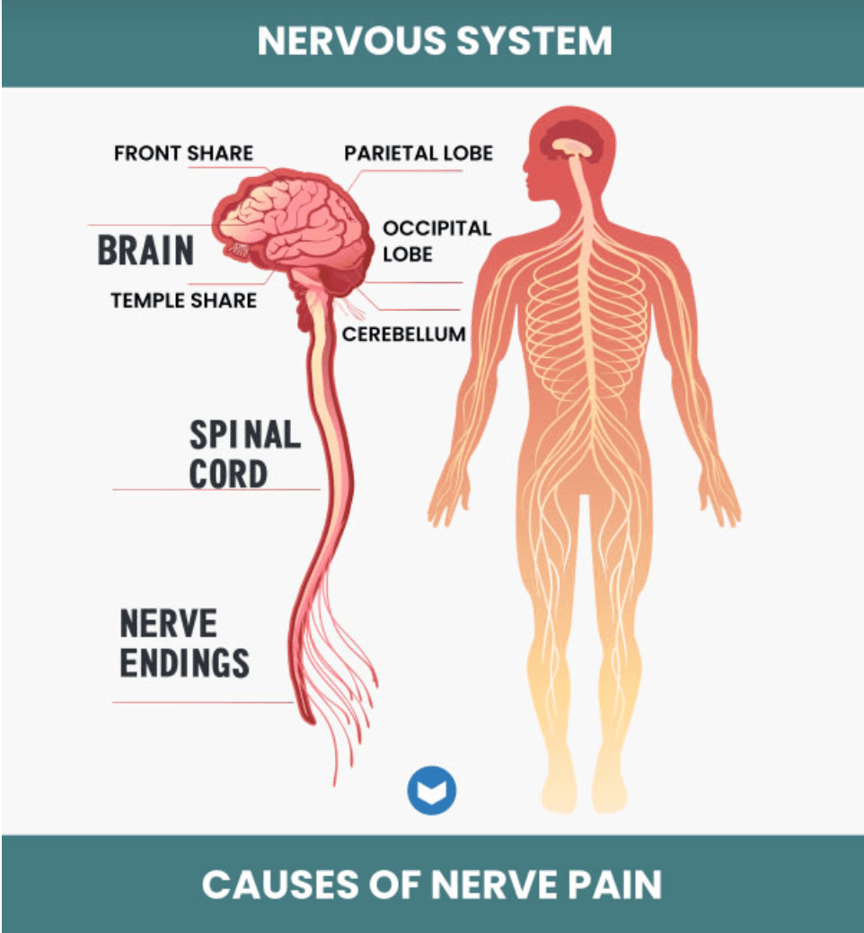 Neuropathic pain medical condition