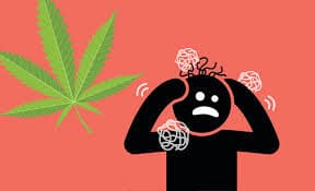Cannabis Use Disorder medical condition