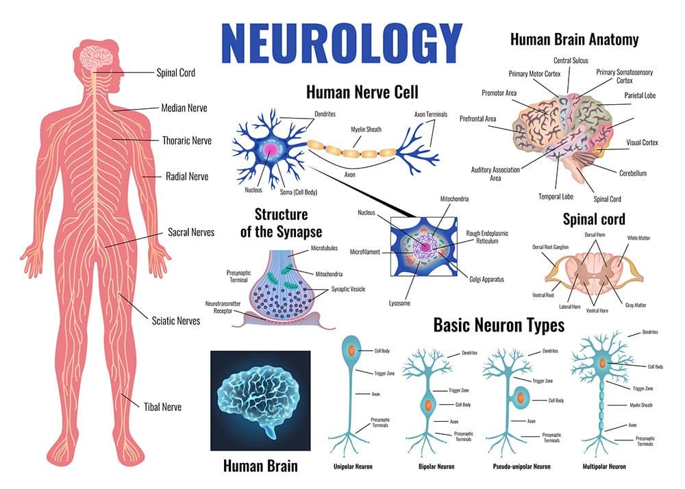Neurology medical condition