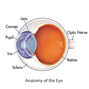 Corneal diseases medical condition