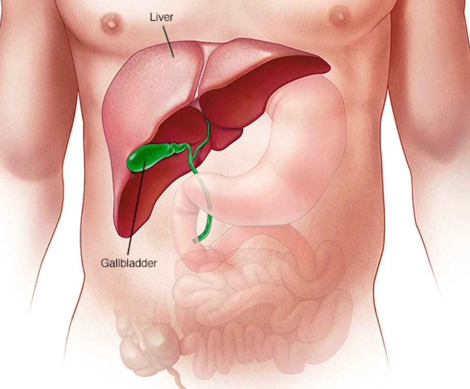 Wilson's disease medical condition