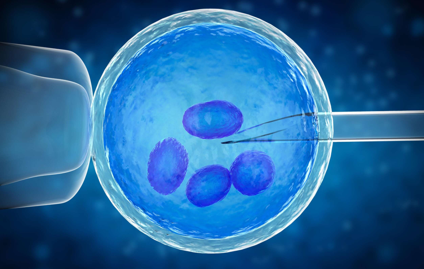 IVF in Mexico: Costs, Best Clinics & Medical Tourism related image