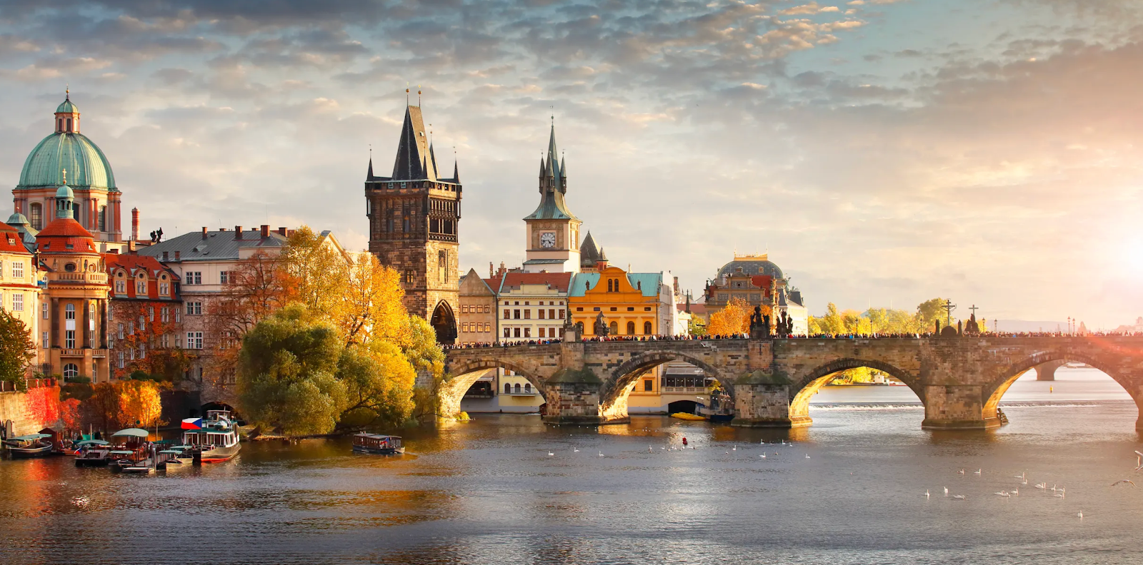 Best Countries for Knee Replacement Surgery Abroad related image
