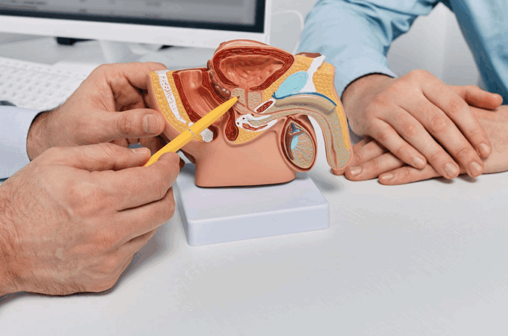 Bladder Cancer Treatment in Turkey | 2026 Costs & Prices related image