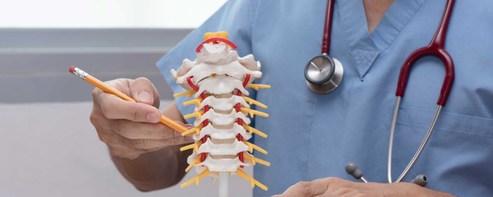 Spine Surgery in Turkey related image