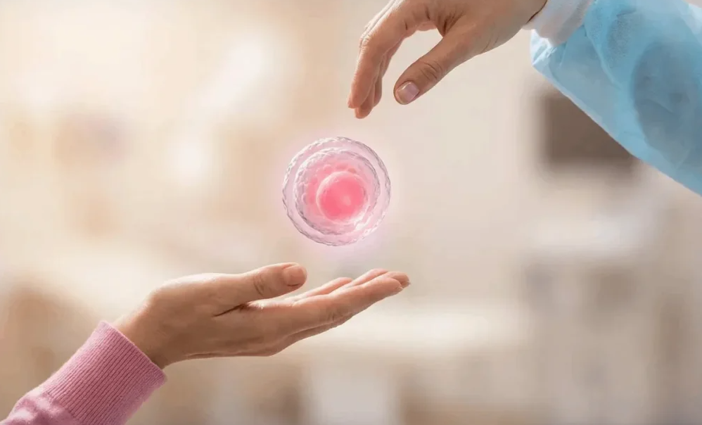Egg Donation Treatment in Turkey related image