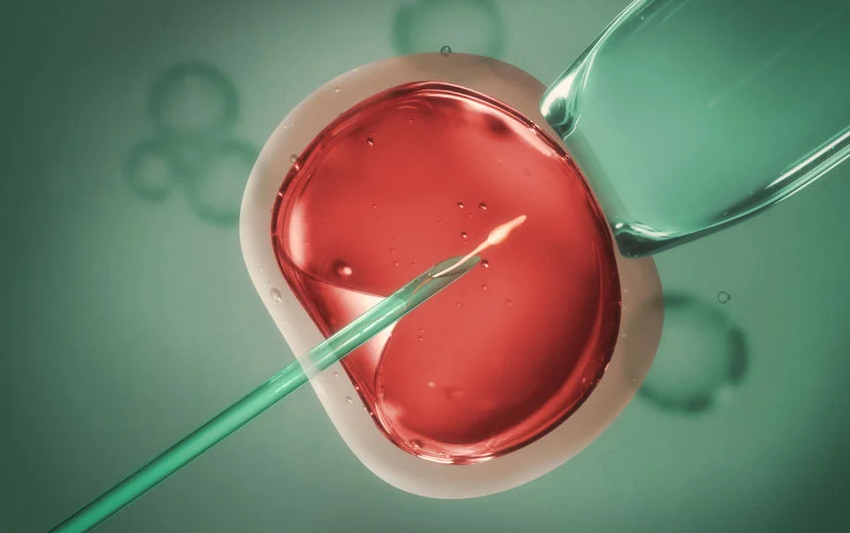 Egg Donation Treatment in Turkey related image