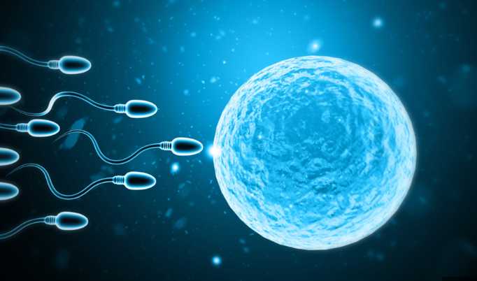 Low Sperm Count Treatment in Turkey related image