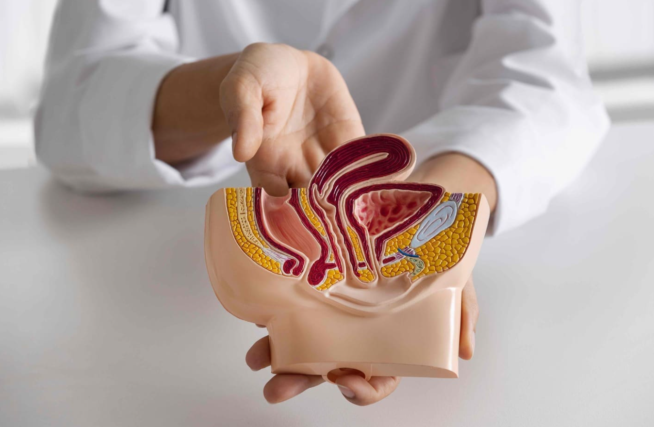 Bladder Cancer Treatment in Turkey | 2026 Costs & Prices related image