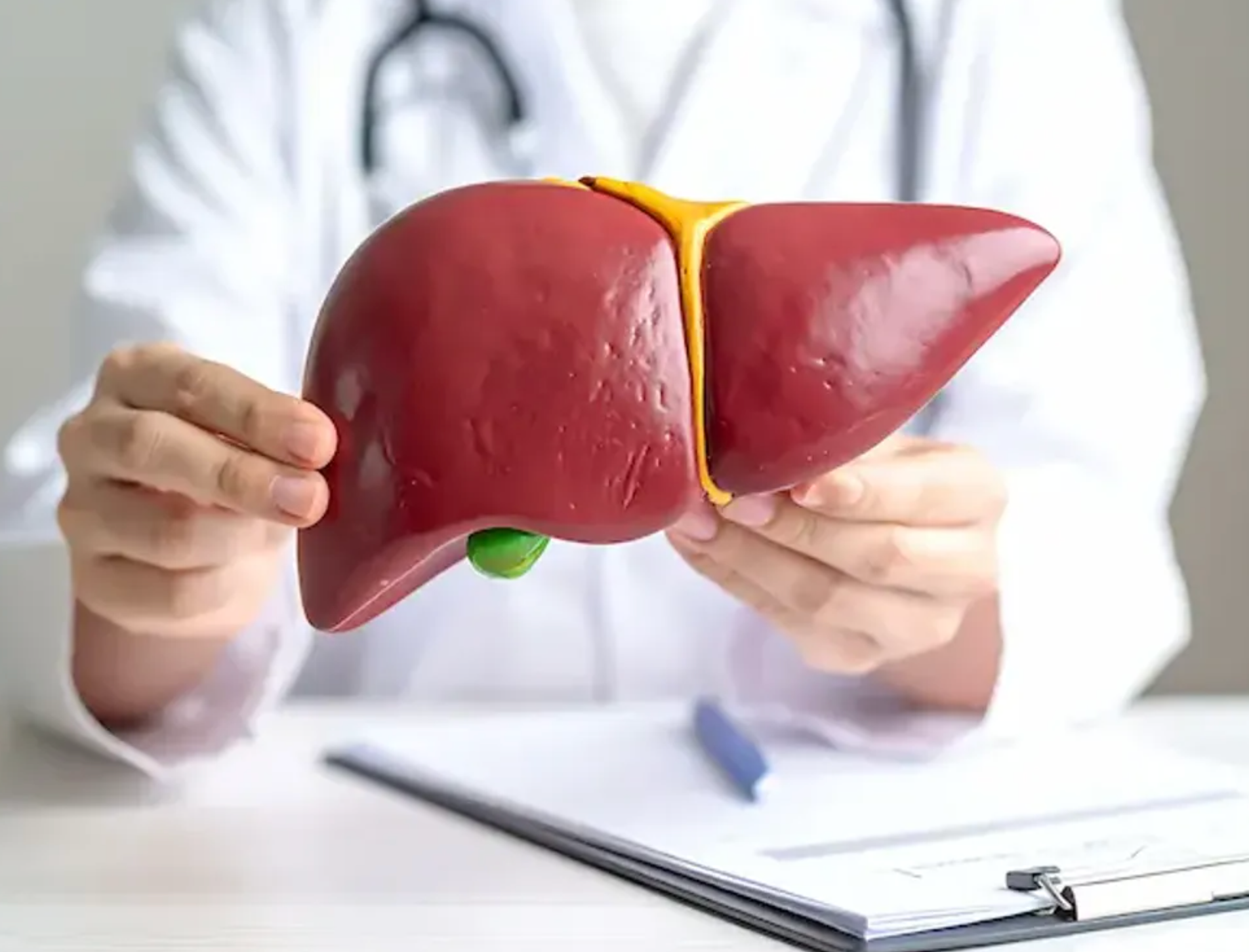 The Ultimate Guide to Liver Transplant Cost in Turkey related image