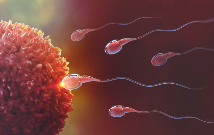 Low Sperm Count Treatment in Turkey related image